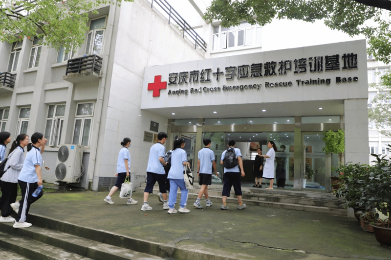 红十字医院：生命线上的坚守与创新